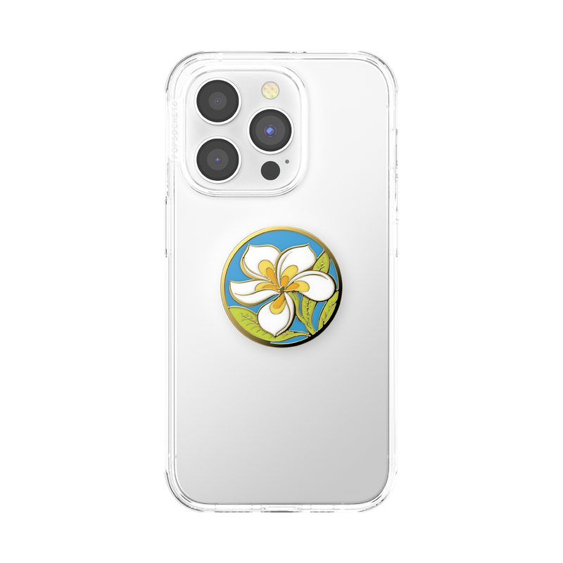 Plumeria image number 3