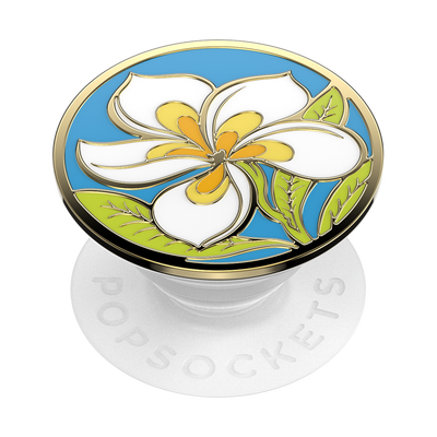 Secondary image for hover Plumeria