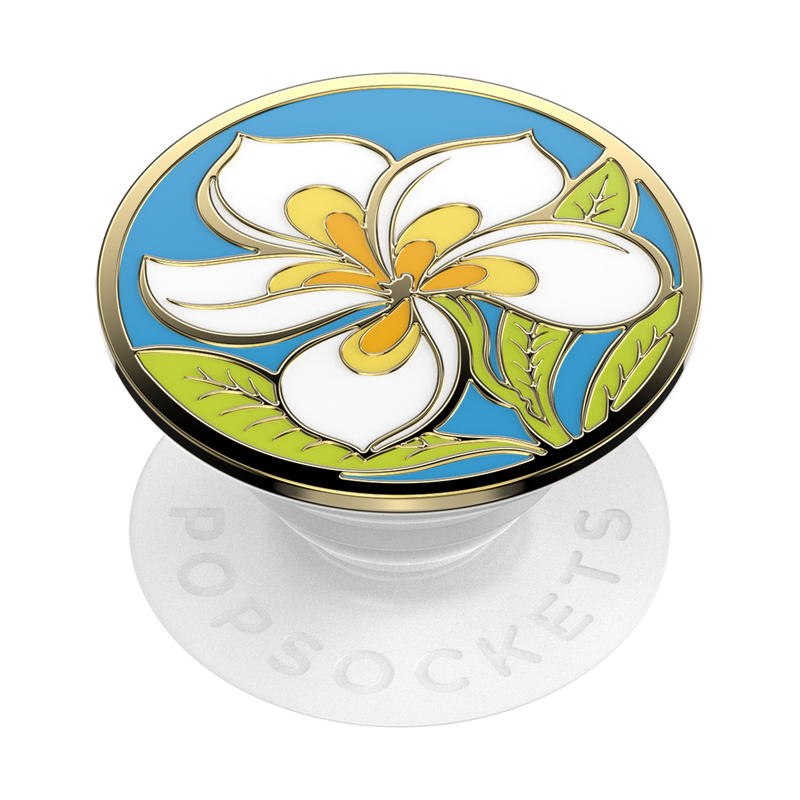Plumeria image number 1