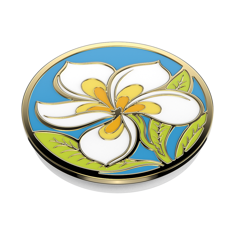 Plumeria image number 2