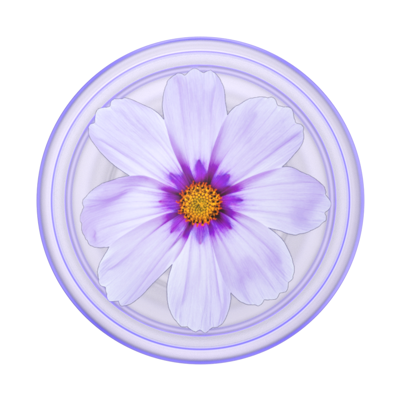 PlantCore Purple Cosmo — Adhesive PopGrip image number 1