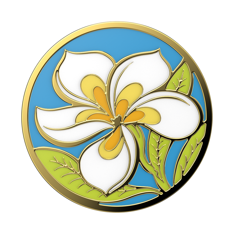 Plumeria image number 0