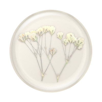 Secondary image for hover Pressed Flower Baby's Breath — Adhesive PopGrip