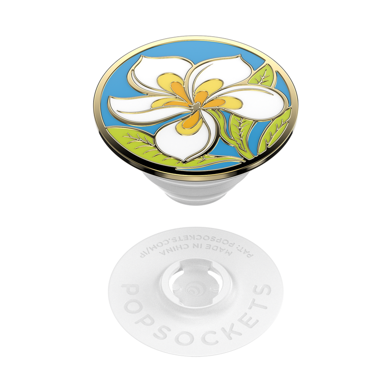 Plumeria image number 6