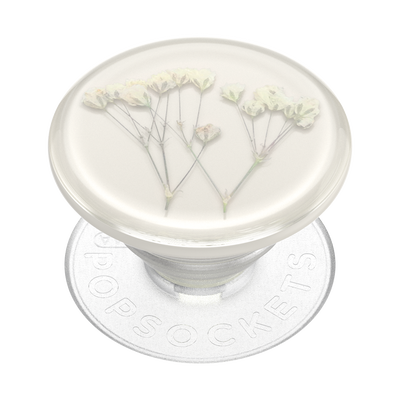 Pressed Flower Baby's Breath — Adhesive PopGrip